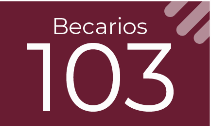 Proyecto Becarios-103
